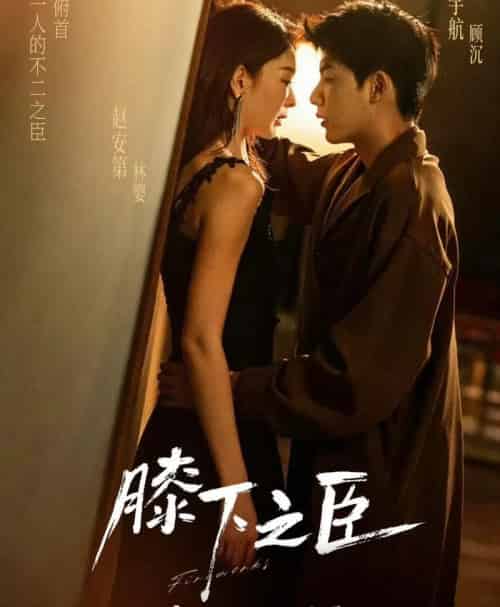 膝下之臣（56集全）赵安第＆吴宇航-海之城短剧项目