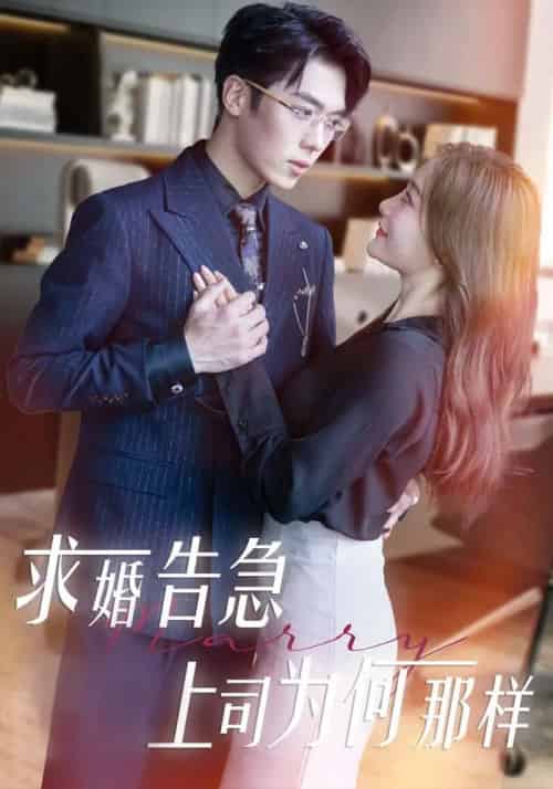 求婚告急上司为何那样 求婚告急上司为何那样
