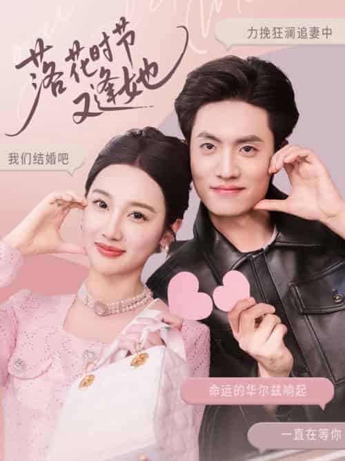 落花时节又逢她 落花时节又逢她