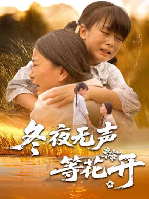 冬夜无声等花开（80集）安敏＆王珊珊 - 海之城短剧