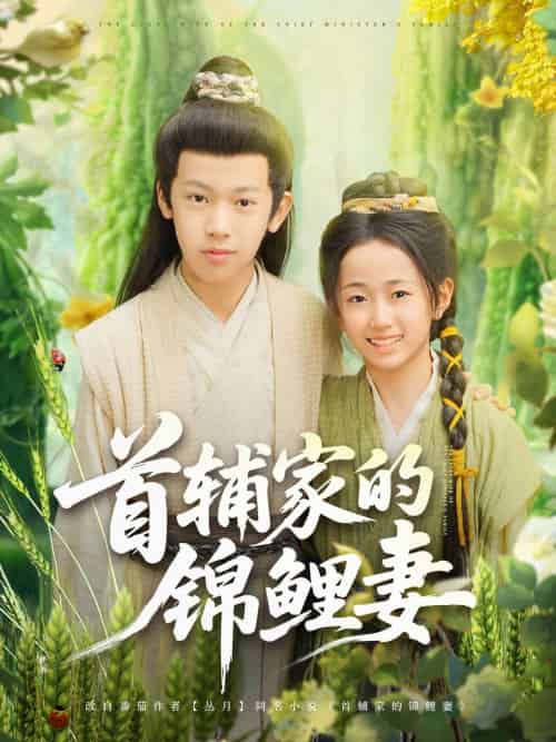 首辅家的锦鲤妻 首辅家的锦鲤妻