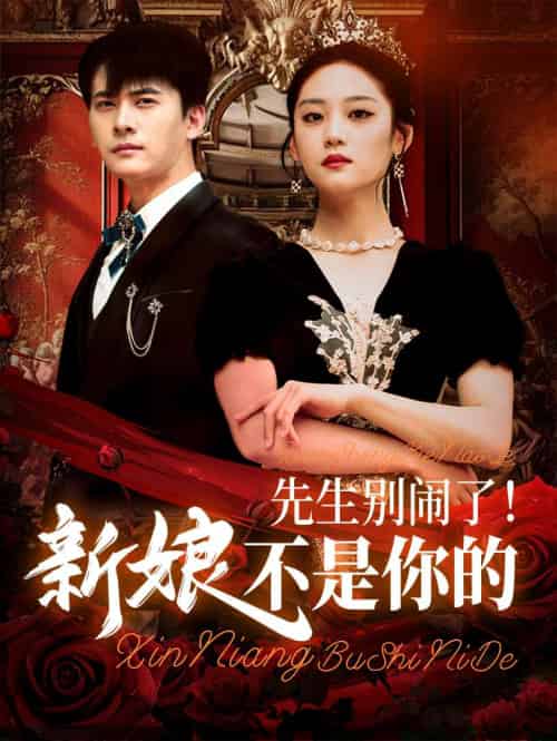 先生别闹了新娘不是你的（56集）刘渝展＆宋宇欣 - 海之城短剧