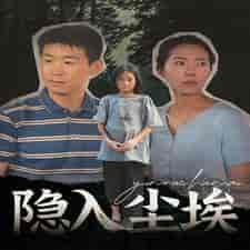 隐入尘埃（30集） - 海之城短剧