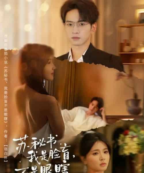 苏秘书，我是脸盲，不是眼瞎（80集全）朱礼仪＆张许焓-海之城短剧项目