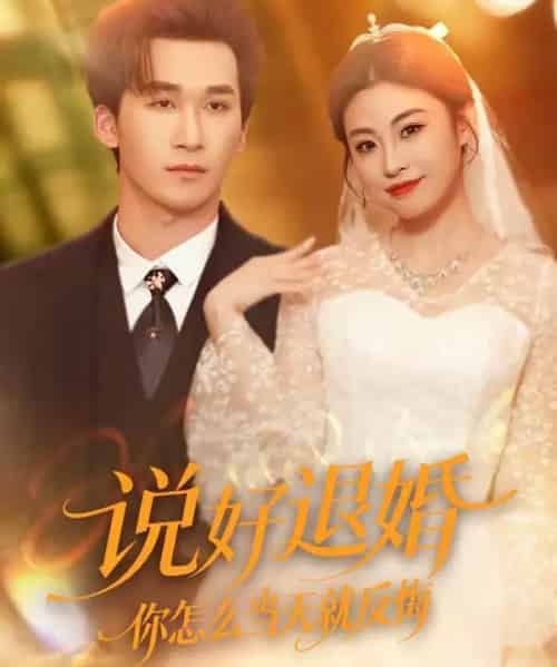 说好退婚你怎么当天就反悔（72集全）潘亚楠＆薛薛-海之城短剧项目