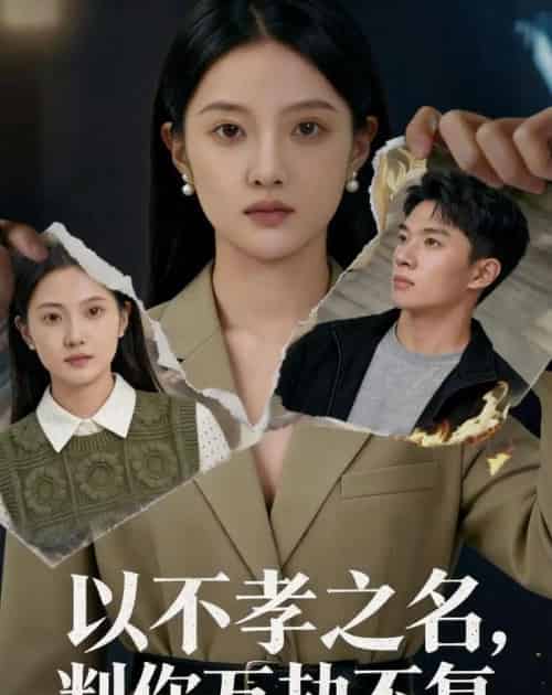 以不孝之名，判你万劫不复（41集全）Ai-海之城短剧项目