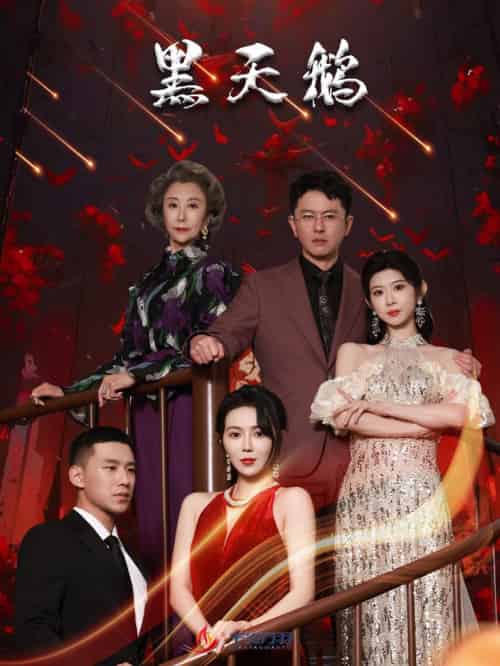 黑天鹅（51集全）孔莹莹 - 海之城短剧