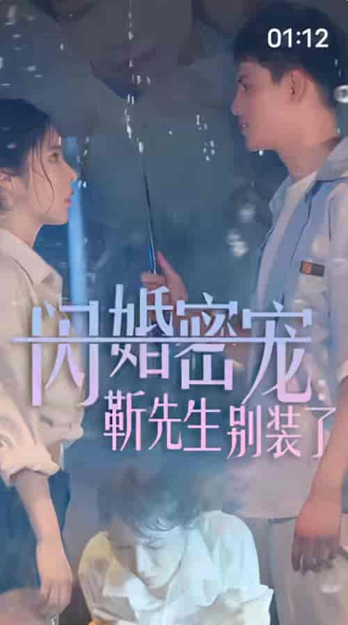 闪婚密宠:靳先生别装了 闪婚密宠:靳先生别装了