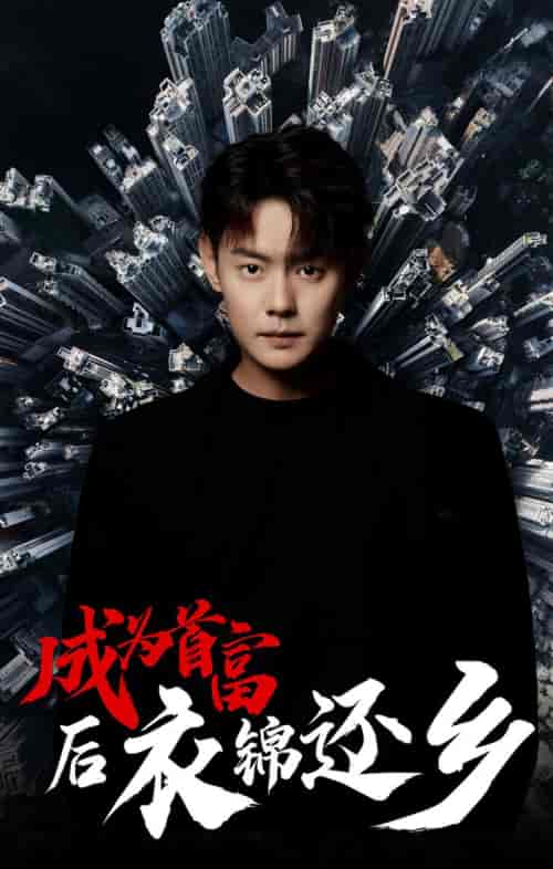 成为首富后衣锦还乡 成为首富后衣锦还乡