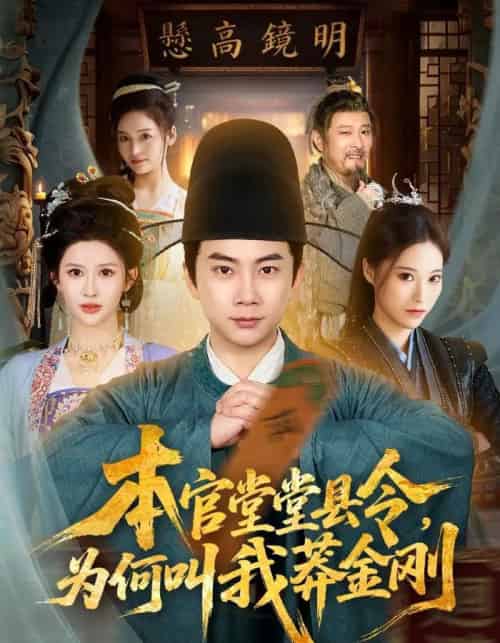 本官堂堂县令，为何叫我莽金刚（80集全）张玉轩＆赵亦菲-海之城短剧项目