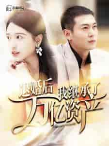 退婚后我继承了万亿家产（99集） - 海之城短剧