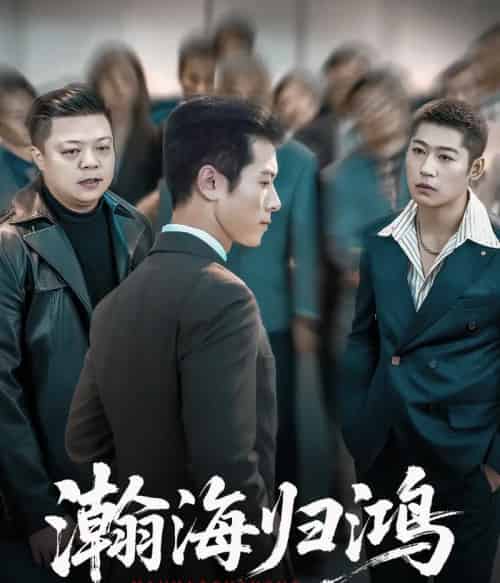 瀚海归鸿（74集全）林思彤＆赖艺-海之城短剧项目