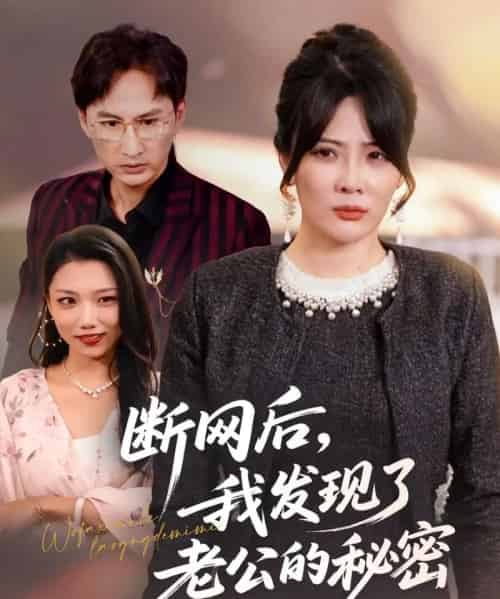 断网后我发现了老公的秘密（57集全）苏月＆英姿-海之城短剧项目