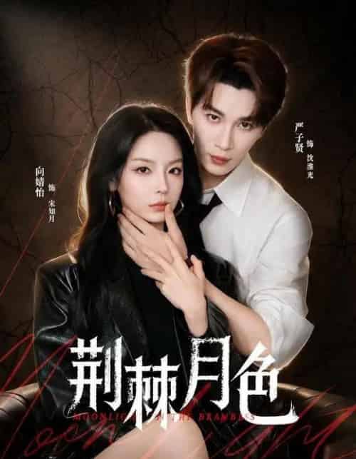 荆棘月色（86集全）严子贤＆向婧怡-海之城短剧项目