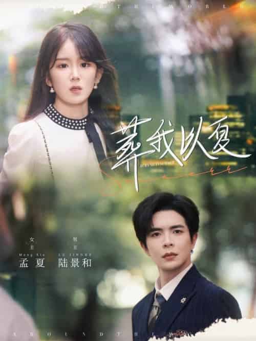 葬我以夏（73集全）温宇＆冯易鑫 - 海之城短剧