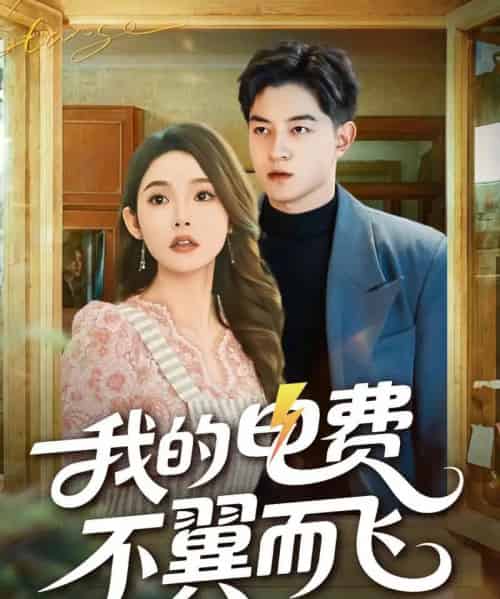 我的电费不翼而飞（60集全）贺龙天＆杨莯-海之城短剧项目