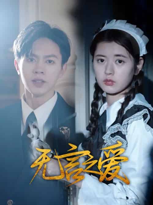 无言之爱（40集全）李晓 - 海之城短剧