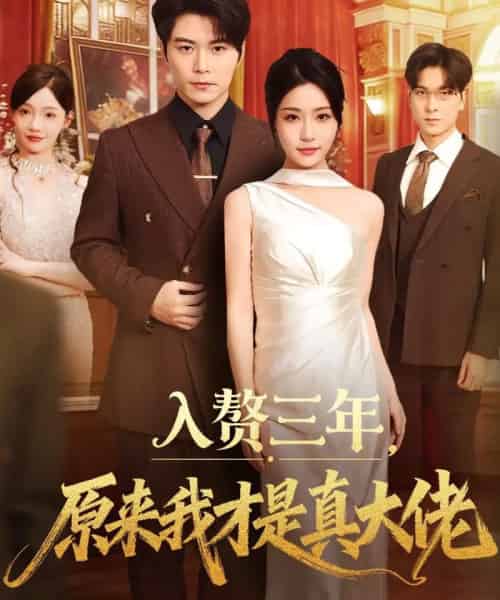 入赘三年，原来我才是真大佬（75集全）刘帅＆瑞子-海之城短剧项目