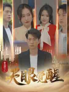 赘婿之天眼觉醒（100集） - 海之城短剧