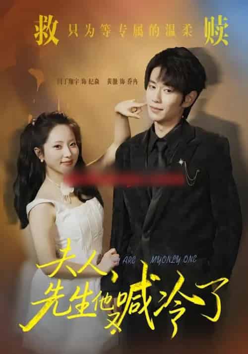 夫人，先生他又喊冷了（60集全）黄傲＆闫丁翔宇-海之城短剧项目