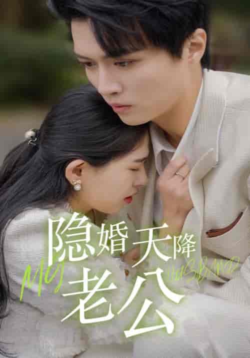 隐婚天降老公（85集全）陆赫霆＆苏贝 - 海之城短剧