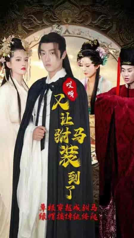 回到古代不开挂干啥（100集） - 海之城短剧