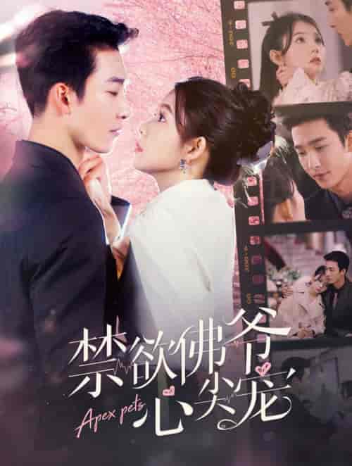 禁欲佛爷心尖宠（101集全）姚冠宇＆林籽蓉 - 海之城短剧