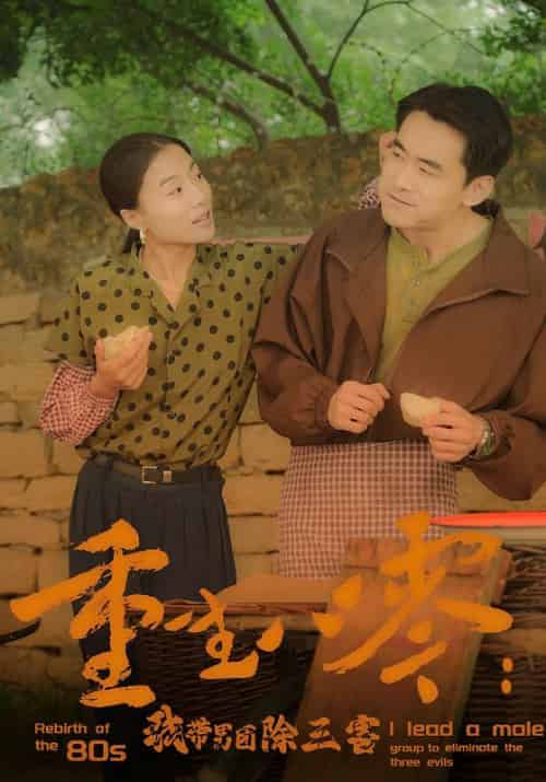 重生八零：我带男团除三害（96集） - 海之城短剧