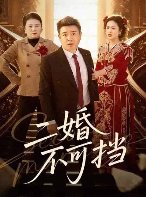 二婚不可挡（36集全）任志宏＆杨一-海之城短剧项目