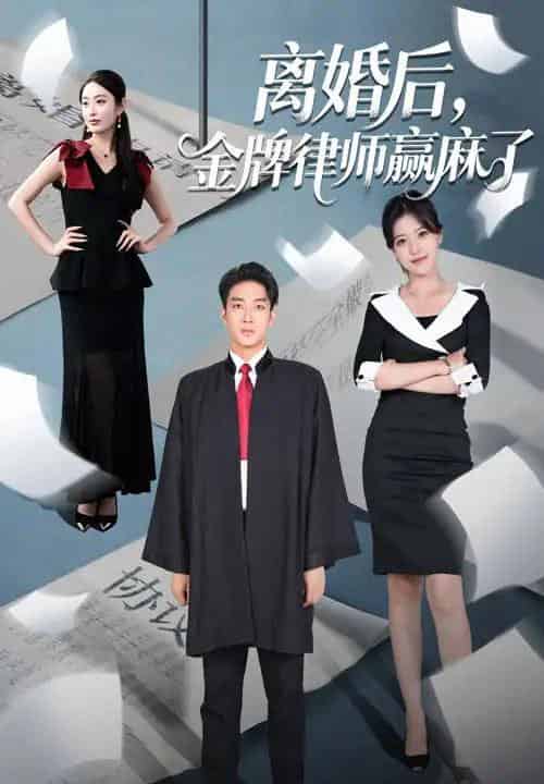 离婚后金牌律师赢麻了（51集）罗东旭＆生馨月-海之城短剧项目