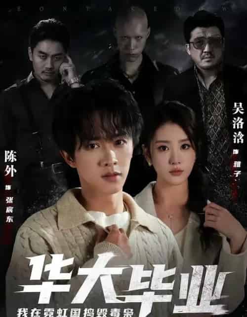 华大毕业，我在霓虹国捣毁毒枭（68集全）陈外＆吴洛浛-海之城短剧项目
