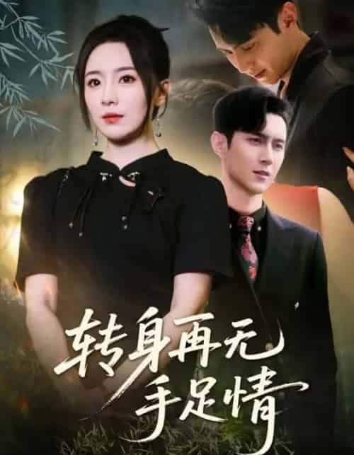 转身再无手足情（71集）希尔力＆周弋茜-海之城短剧项目