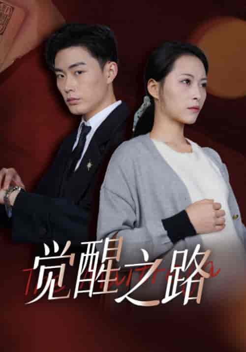觉醒之路（33集全）颜良＆谭花 - 海之城短剧