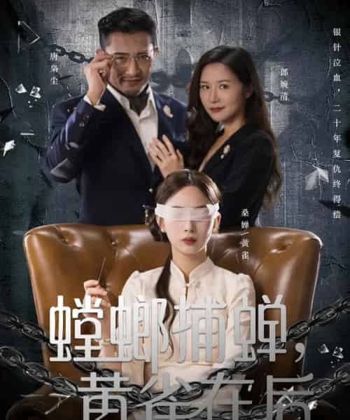 螳螂捕蝉，黄雀在后（65集全）彭千玲＆郑天阳-海之城短剧项目