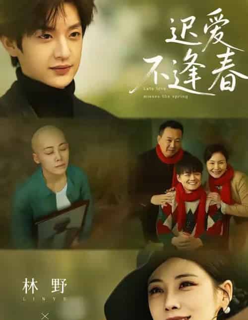 迟爱不逢春（62集全）魏澊＆钟小淇-海之城短剧项目