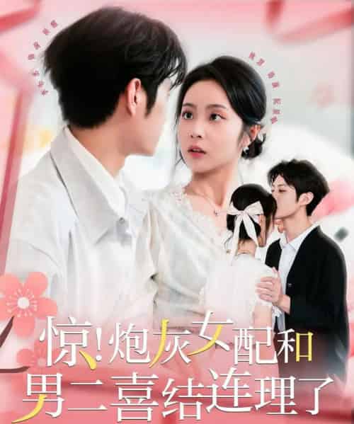 惊！炮灰女配和男二喜结连理了（91集全）李亦丞＆姚慧-海之城短剧项目