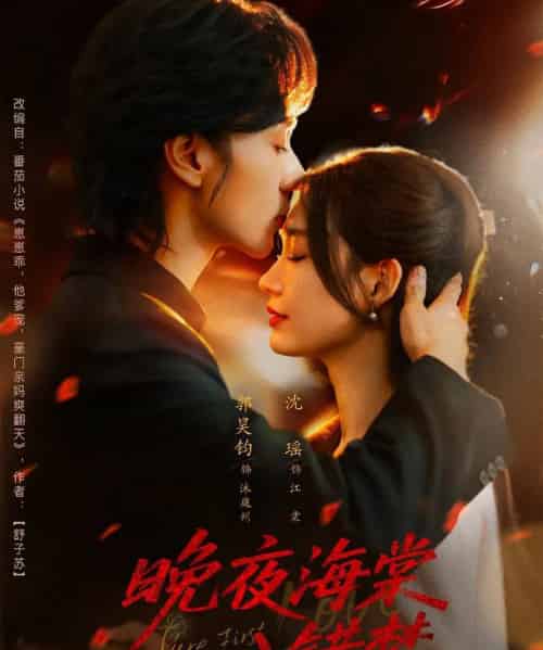 晚夜海棠入错梦 晚夜海棠入错梦