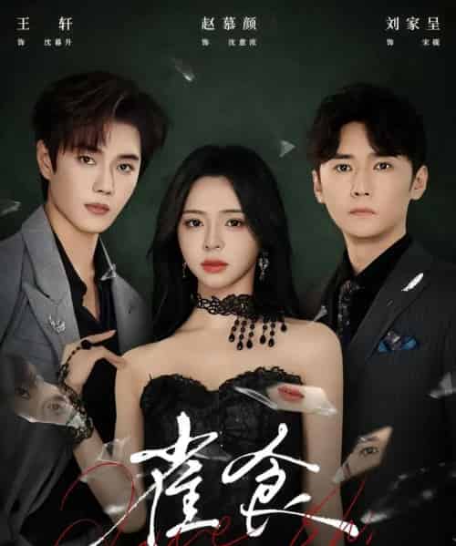 雀食（83集全）王轩＆赵慕颜＆刘家呈-海之城短剧项目