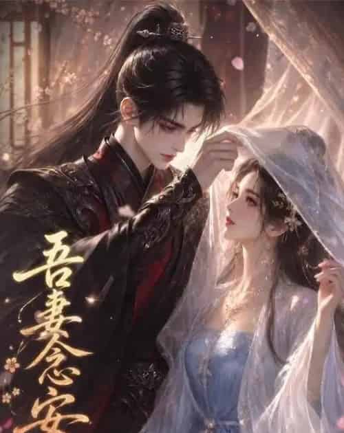吾妻念安（24集全）动漫-海之城短剧项目