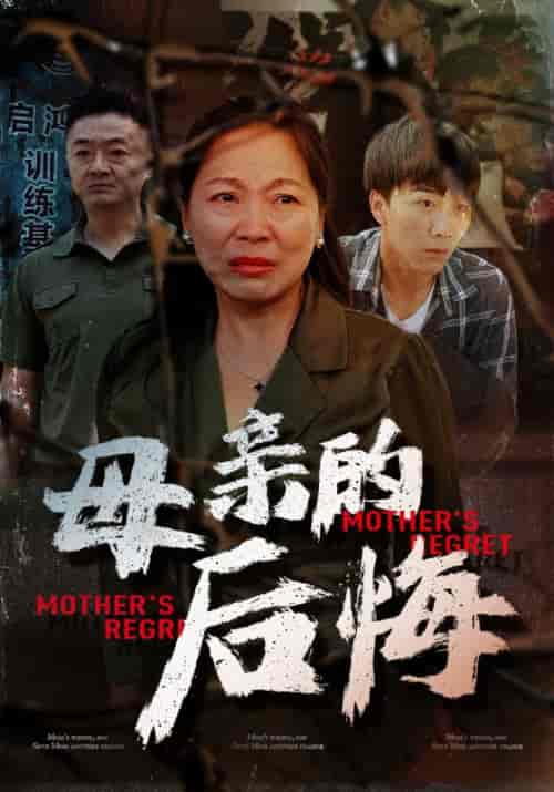 母亲的后悔（30集全）陈建军＆王彩凤 - 海之城短剧