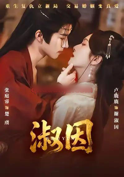 淑因（65集全）张庭睿＆卢鹿鹿-海之城短剧项目