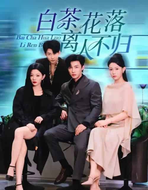 白茶花落离人（51集全）沈国洋＆林初-海之城短剧项目