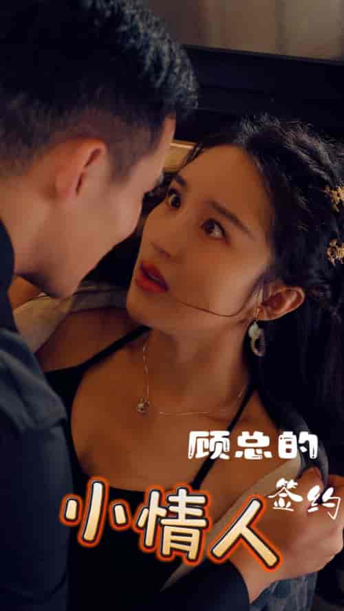 顾总的签约小情人 顾总的签约小情人