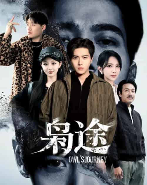 枭途＆龙抬头1：莫欺少年穷（100集全）姜腾＆高明君-海之城短剧项目