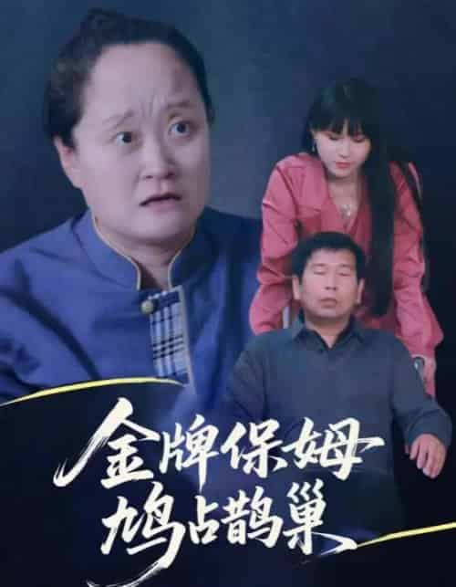 寄生虫保姆＆金牌保姆鸠占鹊巢（64集全）刘广平＆仇艳勤-海之城短剧项目