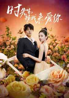 时先生，换我来爱你（97集） - 海之城短剧