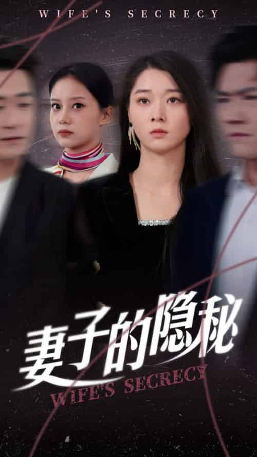 妻子的隐秘（50集全）李轩儿 - 海之城短剧