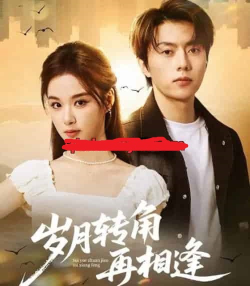 岁月转角再相逢（80集全）张磊＆王宇婧-海之城短剧项目