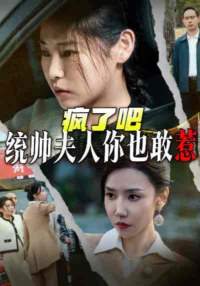 疯了吧统帅夫人你也敢惹（33集全） - 海之城短剧