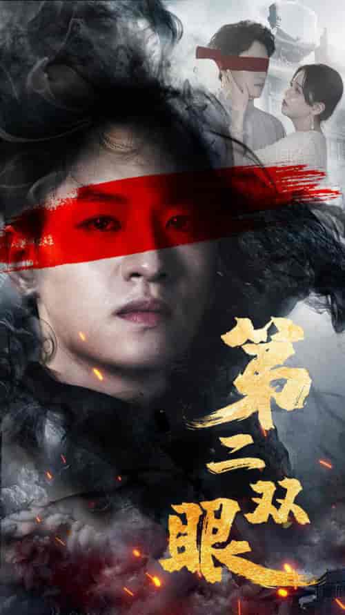 第二双眼（90集） - 海之城短剧
